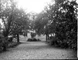 Huset i Damsater - klicka f�r att f�rstora