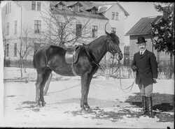 Ingenj�r Erland Bergman - klicka f�r att f�rstora