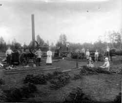 Br�nntorvstillverkning p� Vallinamossen i Bergaskogen vid Fjugesta. Fr�n v�nster Gustafsson som sk�tte maskinen, sen st�r Per Vallin och hans fru som �gde mossen som s�lde br�nntorv bl.a. till Knista kyrka, skolan och banken men torven fraktades ocks� p� j�rnv�g vida omkring. Till h�ger om paret Vallin st�r Gustaf Eriksson i Kl�vlandet som gr�vde och matade i 