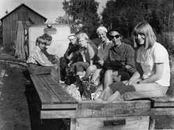 Solmullsarbetare p� v�g ut p� torvmossen vid Stock�s torvstr�fabrik sittandes p� en enkel vagn med ett lok p� den smalsp�riga j�rnv�gen. - klicka f�r att f�rstora