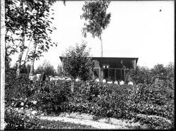 Herr Gustaf Andersson vyer - klicka f�r att f�rstora