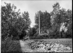 Herr Johan Nilsson vyer - klicka f�r att f�rstora