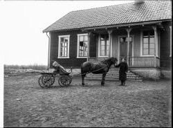 Herr Lundqvist med h�star - klicka f�r att f�rstora