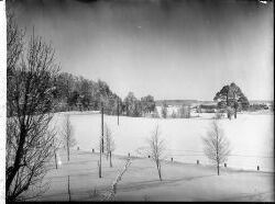 Herr Johnsson vyer Sanna - klicka f�r att f�rstora