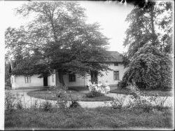 Herr August Nylin  vyer - klicka f�r att f�rstora