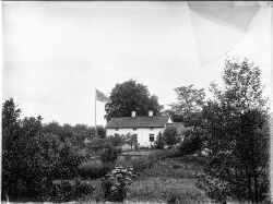 Herr August Nylin  vyer - klicka f�r att f�rstora
