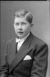 Ingemar Janson - klicka f�r att f�rstora