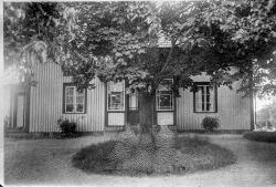 Solveig Persson kopia - klicka f�r att f�rstora
