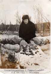 B�verinspektion - klicka f�r att f�rstora