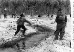 Skallg�ng - klicka f�r att f�rstora