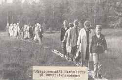 Myrpromenad - klicka f�r att f�rstora