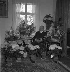 Man omgiven av blommor. Bilden �r troligen tagen i samband med en f�delsedag. - klicka f�r att f�rstora