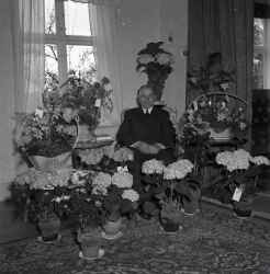 Man omgiven av blommor. Bilden �r troligen tagen i samband med en f�delsedag. - klicka f�r att f�rstora