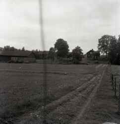Sven A Carlsson i B�ckatorps g�rd - klicka f�r att f�rstora