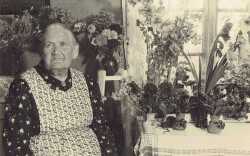 Johanna Larsson i Br�nstagatan f�ddes 1865-08-22 och avled 1949-05-06. Hon bodde i vinkeln mellan nuvarande l�nsv�g 204 Lanna-Svart� och v�gen Irsta-Knista by. Bilden togs troligen i samband med 80-�rsdagen. Hos mor Larsson tog alltid lantbrevb�rare Widmark sin matrast. - klicka f�r att f�rstora