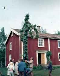 Midsommar p� H�gan. Troligen f�rsta midsommaraftonen d�r. St�ngen reses - klicka f�r att f�rstora