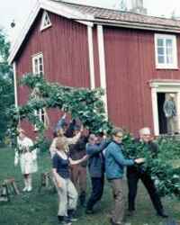 Midsommar p� H�gan. Troligen f�rsta midsommaraftonen d�r. St�ngen reses - klicka f�r att f�rstora