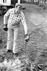 Sven Ljungstedt snor hank p� H�gan - klicka f�r att f�rstora