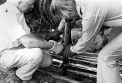 Thore �hrn och Sigurd Paulsson snor vidjan i en 8a runt st�ren - klicka f�r att f�rstora