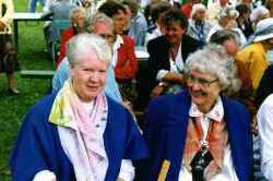 H�gan midsommaren 1993 - klicka f�r att f�rstora