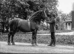 Gustaf Pettersson - klicka f�r att f�rstora