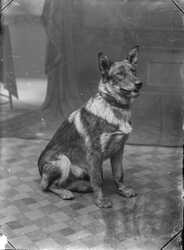 Fru Hagberg 