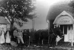 Tv� h�star och m�nniskor som tar upp potatis framf�r Sophie Jansons atelj� p� Letstigen 1919. Den nya atelj�n l�t hon bygga n�r hon 1912 f�r gott slagit sig ner i samh�llet. - klicka f�r att f�rstora