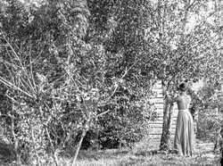  - klicka f�r att f�rstora
