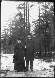 Portr�tt par i skogen - klicka f�r att f�rstora