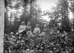 Grupp i skogen, familjen Janson? - klicka f�r att f�rstora