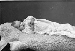 Folke Lindberg gosse - klicka f�r att f�rstora