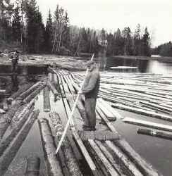 Sågverksarbetare Gottfrid Karlsson står på en landgång i dammen vid Skärmartorp och flottar timmer. - klicka f�r att f�rstora