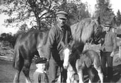 Tre generationer i Klövlandet 1937. Närmast i bild syns Stig Eriksson född 1934, i mitten hans far Olov Eriksson född 1902 och längst till höger i bild står farfar Erik-Johan Larsson född 1858. - klicka f�r att f�rstora