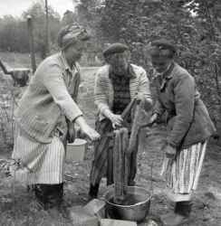 Tre kvinnor vid kokk�rl under en kurs i v�xtf�rgning i Kvistbro socken - klicka f�r att f�rstora