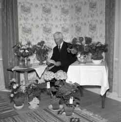 Helmfrid Larsson i Vekhyttan fyller 70 �r - klicka f�r att f�rstora