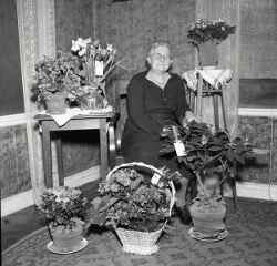 Maria Karlsson under sin 75-�rsdag - klicka f�r att f�rstora