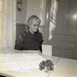 En kvinna i samband med Hans Erik och Inger Rickardsson i Fjugestas barns dop - klicka fr att frstora