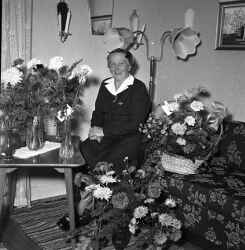 Dagny Pettersson i Hulvikstorp i Kvistbro fyller 50 år - klicka f�r att f�rstora