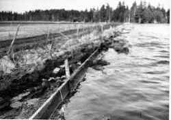 Genom plankskydd och st�mplingar p� �banken har mark�garna i B�ls�s f�rs�kt hindra �versv�mningen att ytterligare breda ut sig. - klicka f�r att f�rstora